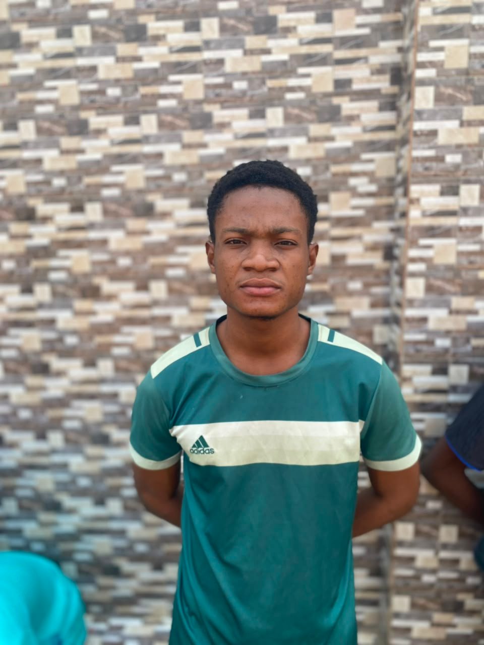 Elvis kimbebi